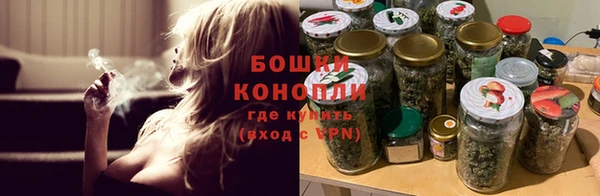 2c-b Новозыбков