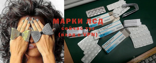 2c-b Новозыбков