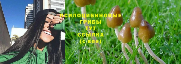 марки lsd Новокубанск