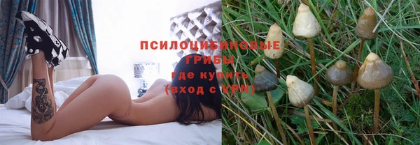 2c-b Новозыбков