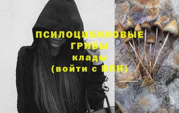 2c-b Новозыбков