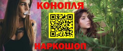 сатива Заводоуковск